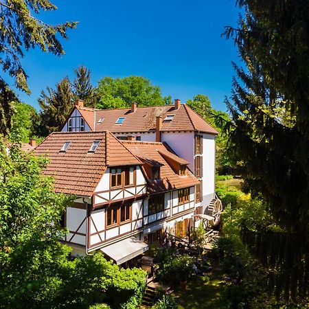 Einliegerwohnung In Einer Muehle Vor Den Toren Frankfurts, Ideal Fuer Messegaeste Oder Stop Over Dreieich Exterior photo
