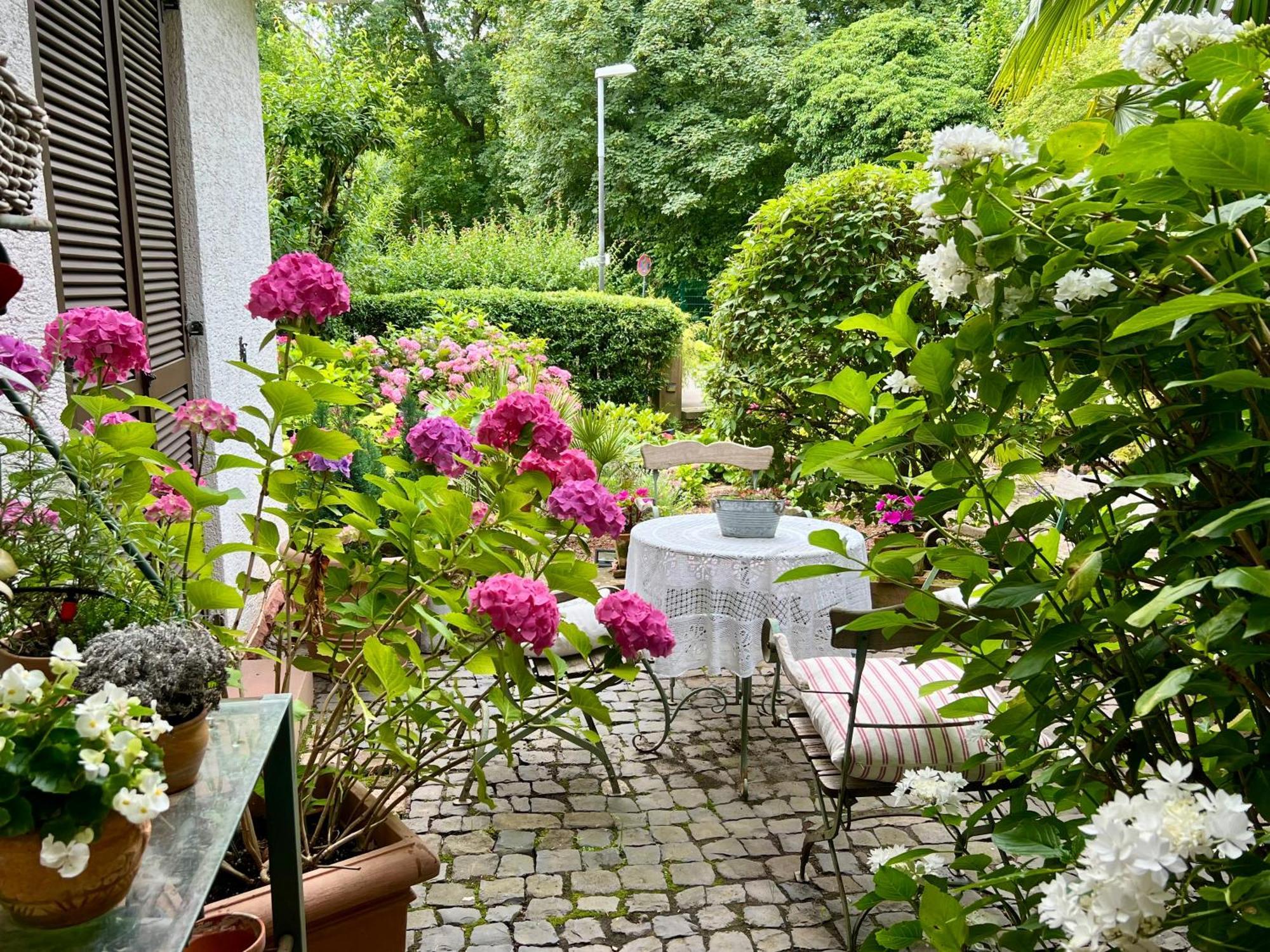 Einliegerwohnung In Einer Muehle Vor Den Toren Frankfurts, Ideal Fuer Messegaeste Oder Stop Over Dreieich Exterior photo